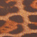color: Cocoa Leopard