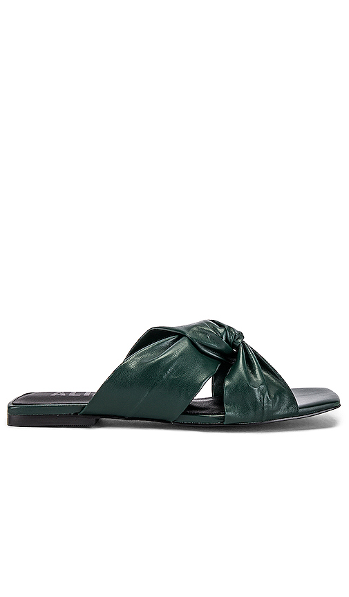 dark green flip flops