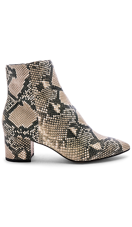 Dolce Vita Bel Bootie in Snake | REVOLVE