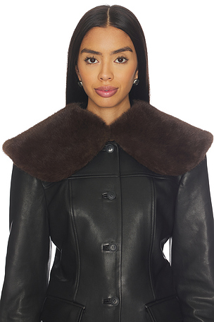 DAGNA カラー EAVES